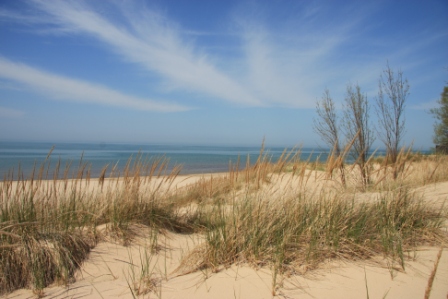 Spring Comes To Dunes >> Doherty Images Indiana Dunes Four Spring Comes To Dunes >> Doherty Images Indiana Dunes Four